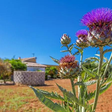 Holiday home Nice Home In Denia With Outdoor Swimming Pool